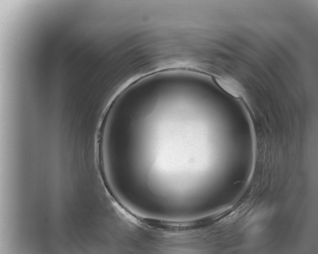 X0000072991151200607290007