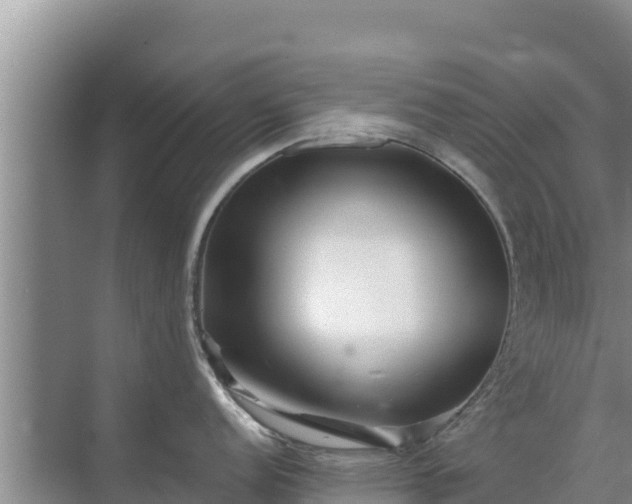 X0000072991152200607290007