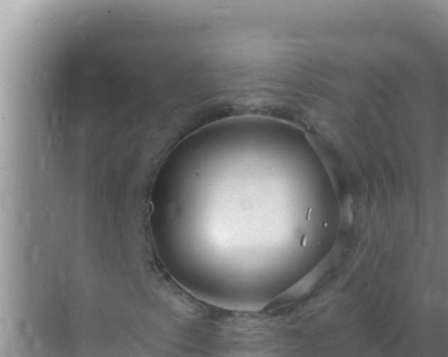 X0000072991153200607290006