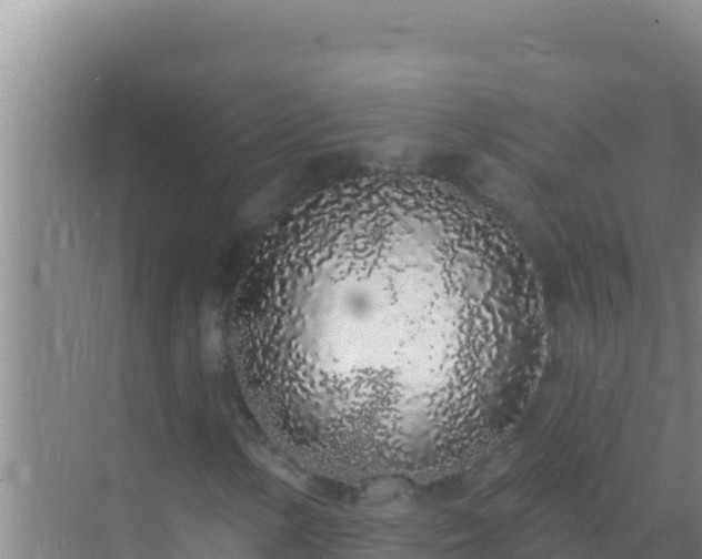 X0000072991154200607290006