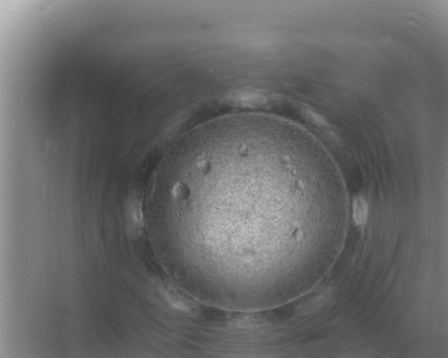 X0000072991155200607290006