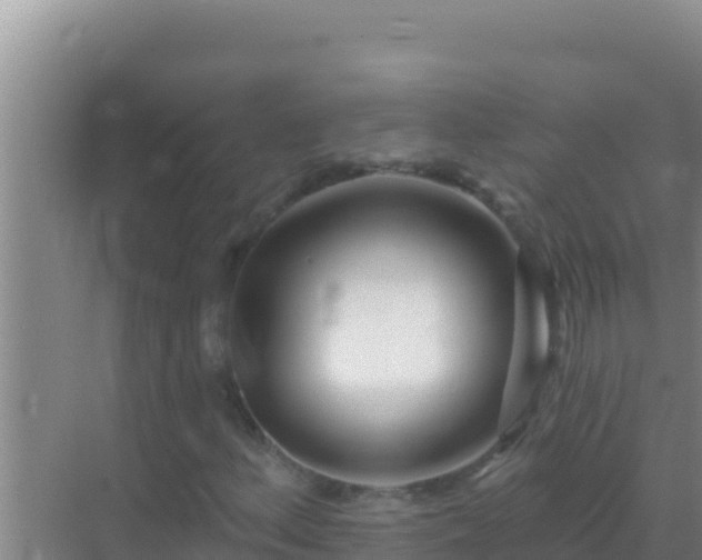 X0000072991156200607290006