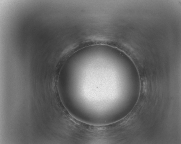 X0000072991157200607290006