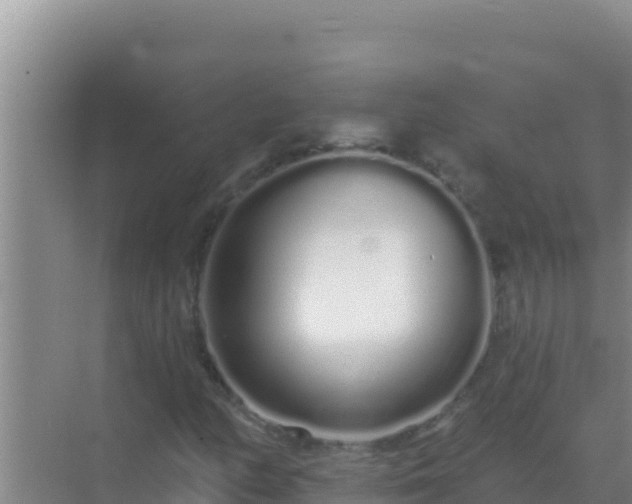 X0000072991158200607290006