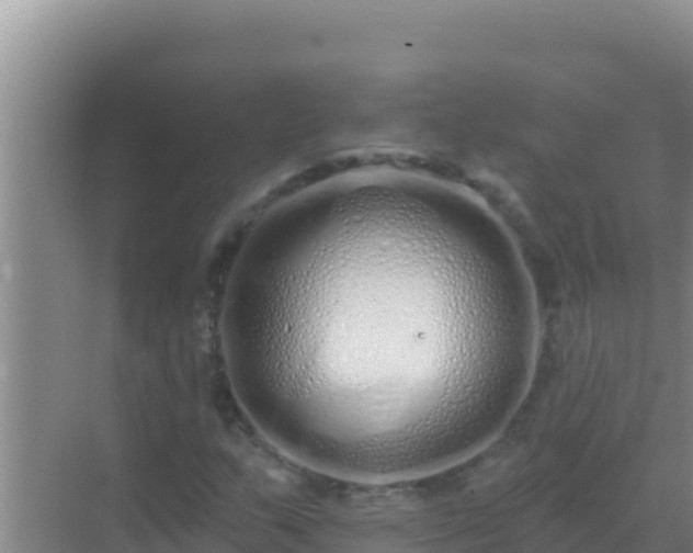 X0000072991159200607290006