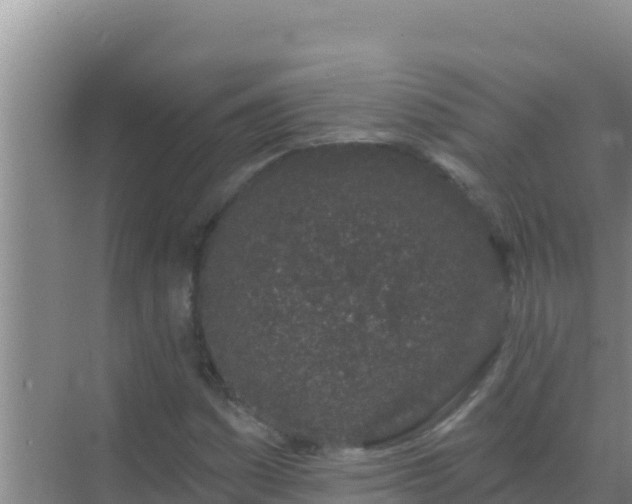 X0000072991161200607290006