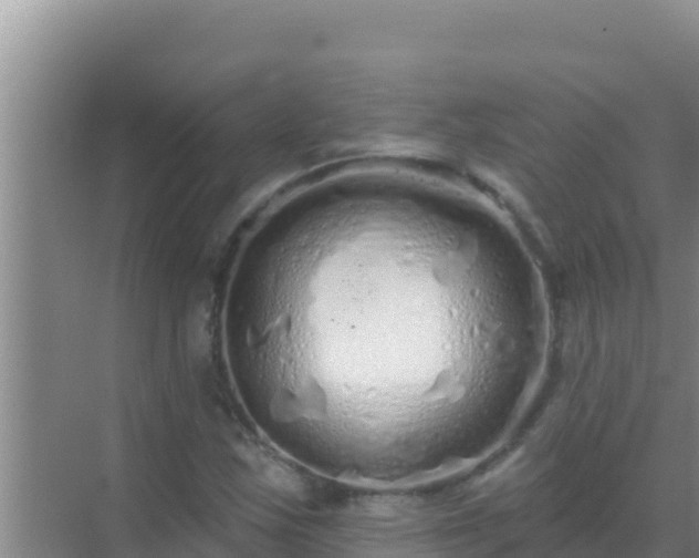 X0000072991163200607290006