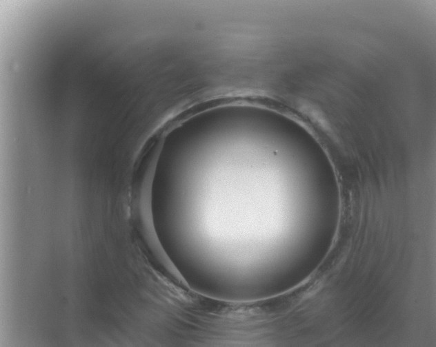 X0000072991165200607290006