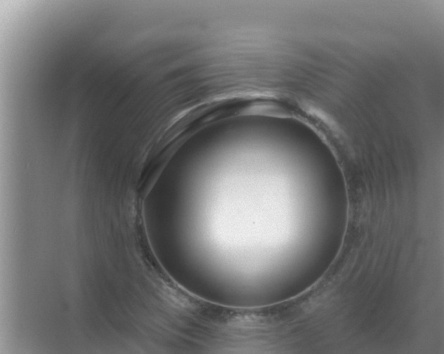 X0000072991169200607290006