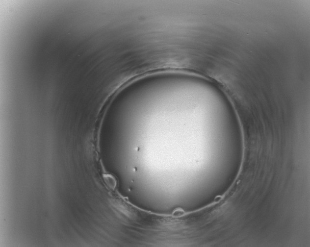 X0000072991170200607290006