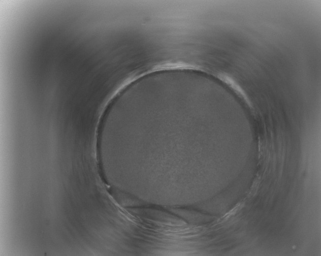 X0000072991173200607290006