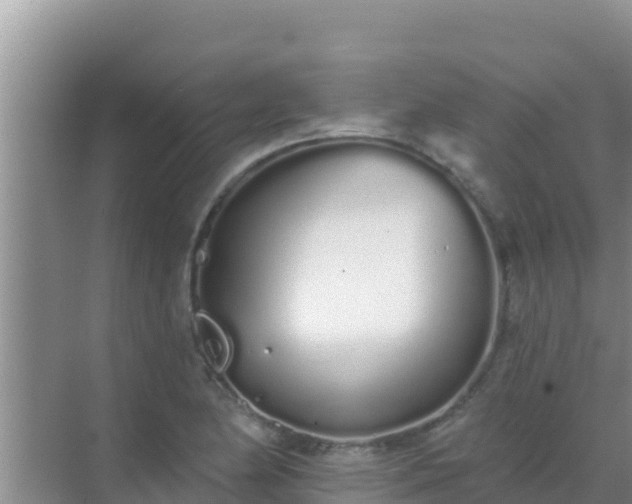 X0000072991174200607290006