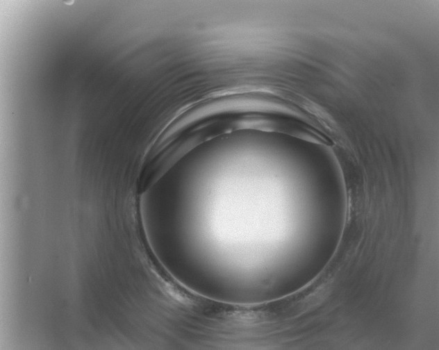 X0000072991177200607290006