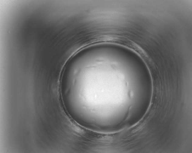 X0000072991178200607290006