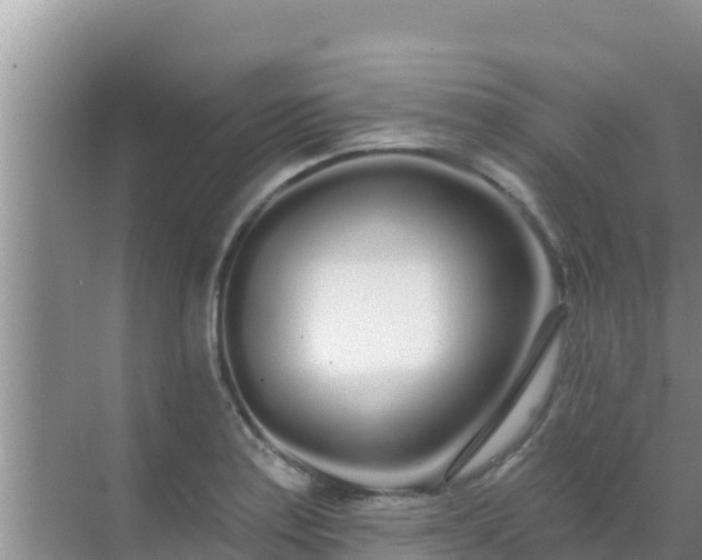 X0000072991179200607290006