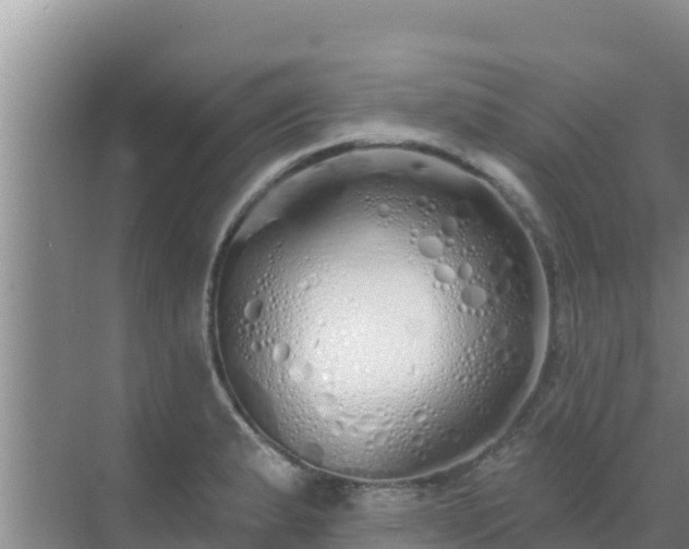 X0000072991183200607290006