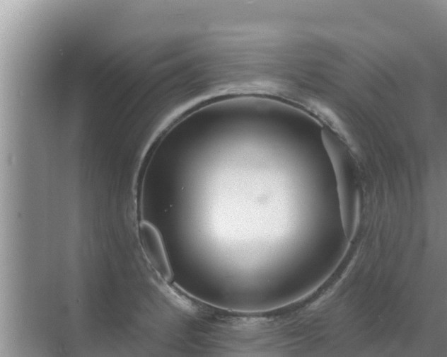 X0000072991184200607290006