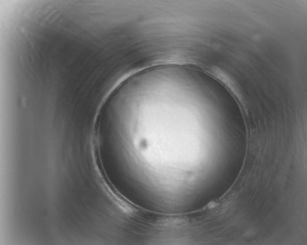 X0000072991187200607290006