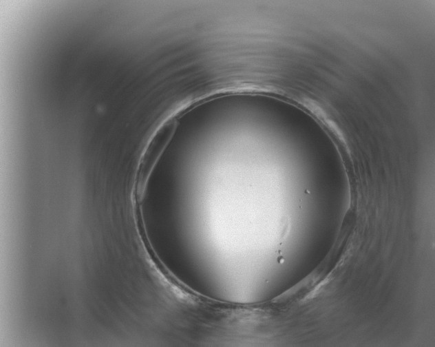 X0000072991189200607290006