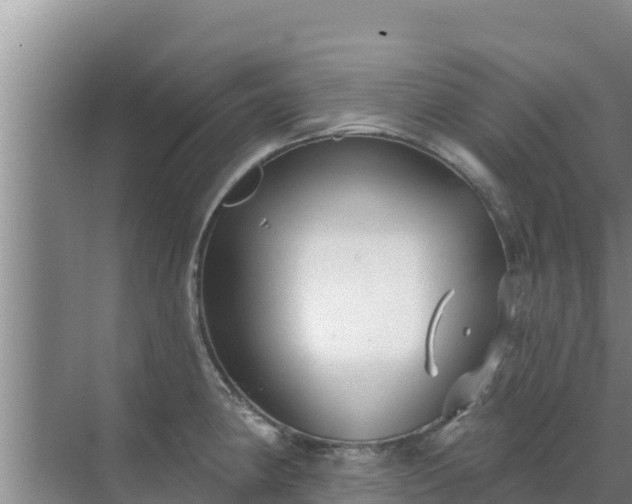 X0000072991190200607290006