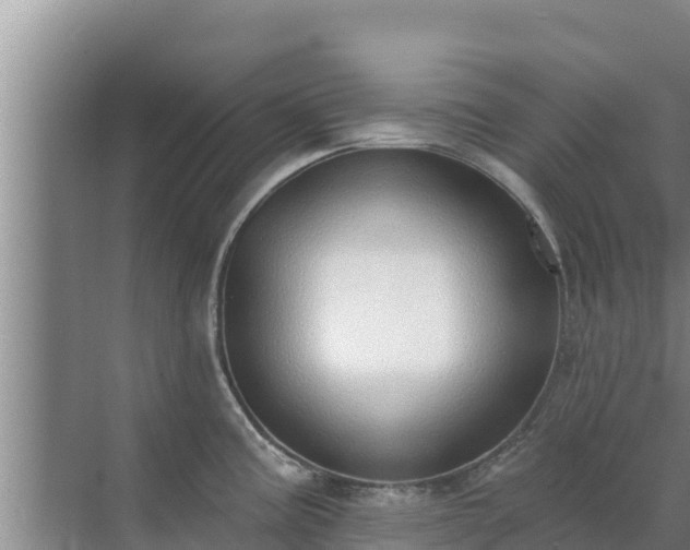 X0000072991195200607290005