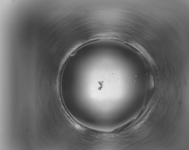 X0000072991196200607290005