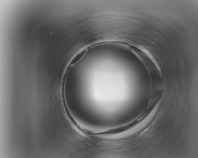 X0000072991197200607290005