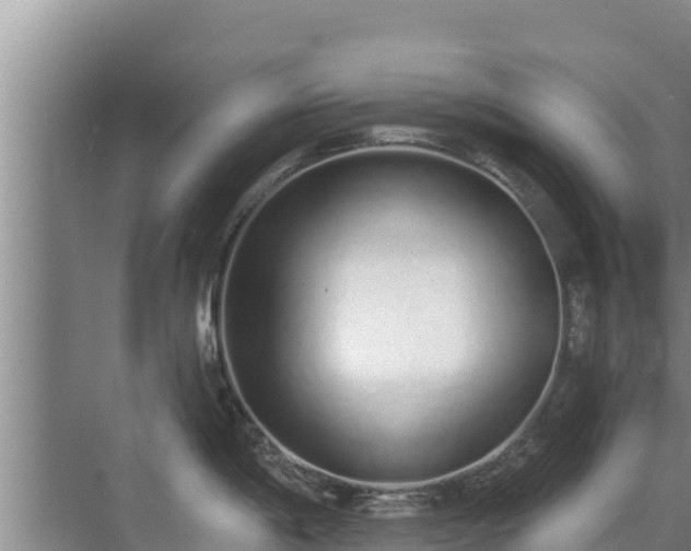 X0000072991198200607290005