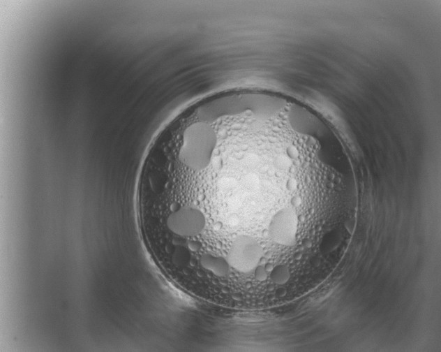 X0000072991199200607290005