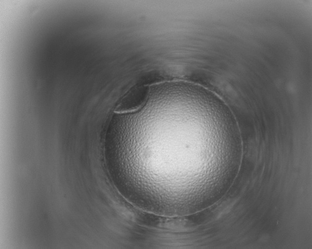 X0000072991201200607290005