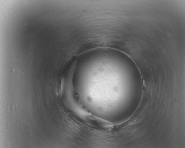 X0000072991202200607290005