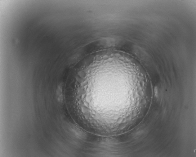 X0000072991203200607290005