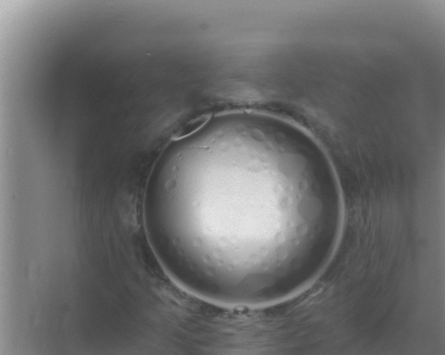 X0000072991205200607290005