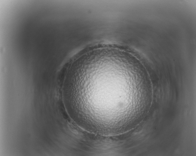 X0000072991207200607290005