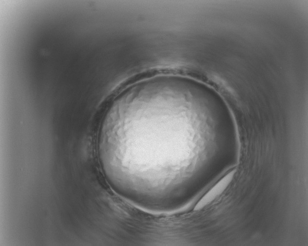 X0000072991208200607290005