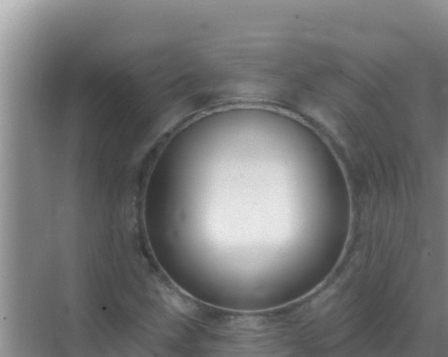 X0000072991211200607290005