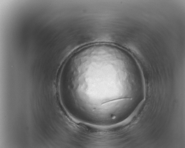 X0000072991212200607290005