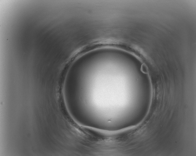 X0000072991213200607290005