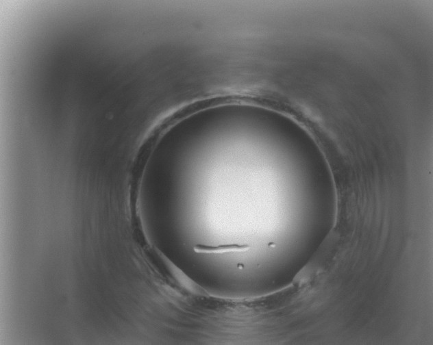 X0000072991214200607290005