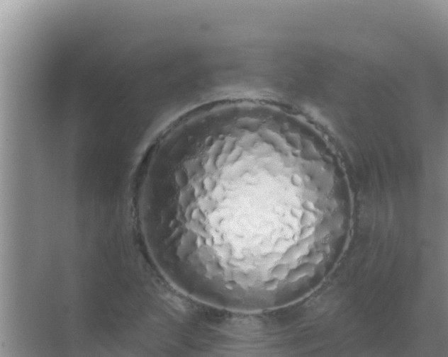 X0000072991215200607290005