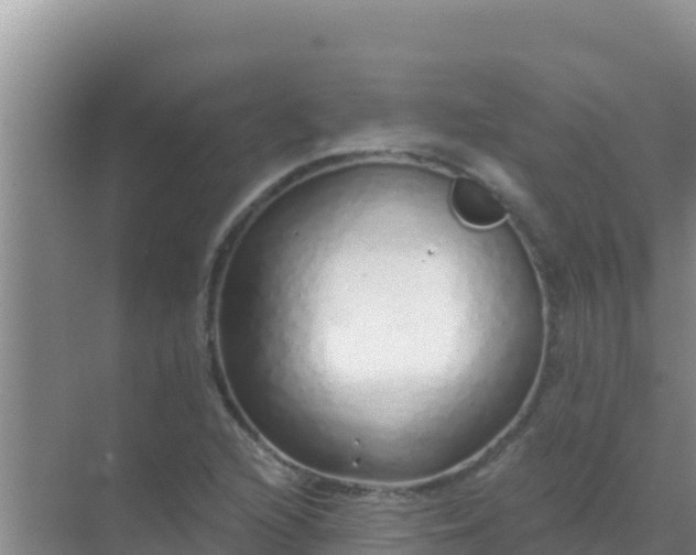 X0000072991216200607290005