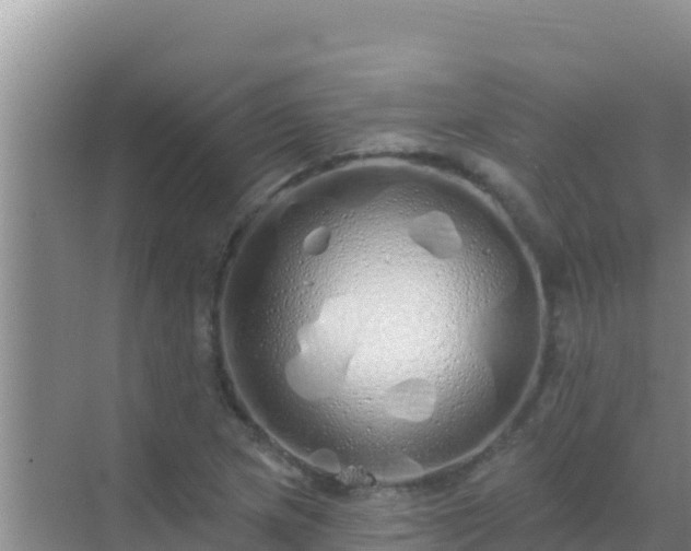 X0000072991217200607290005