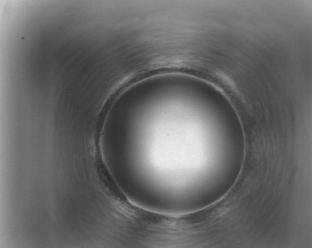 X0000072991218200607290005