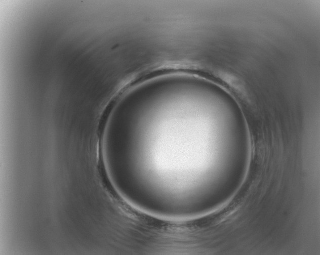 X0000072991221200607290005