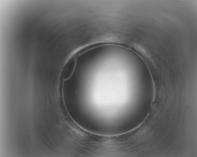 X0000072991222200607290005