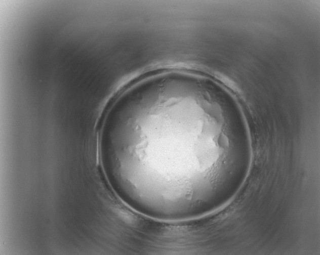 X0000072991223200607290005