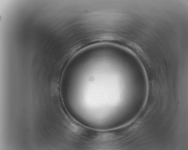 X0000072991225200607290005