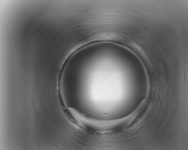 X0000072991226200607290005