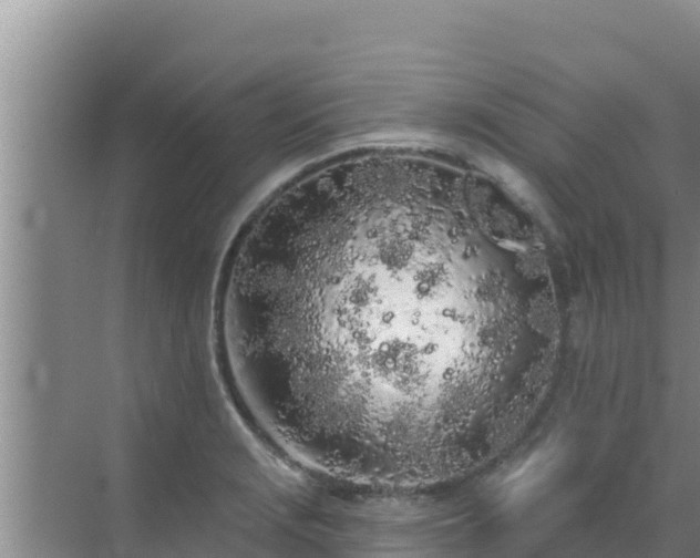 X0000072991229200607290005