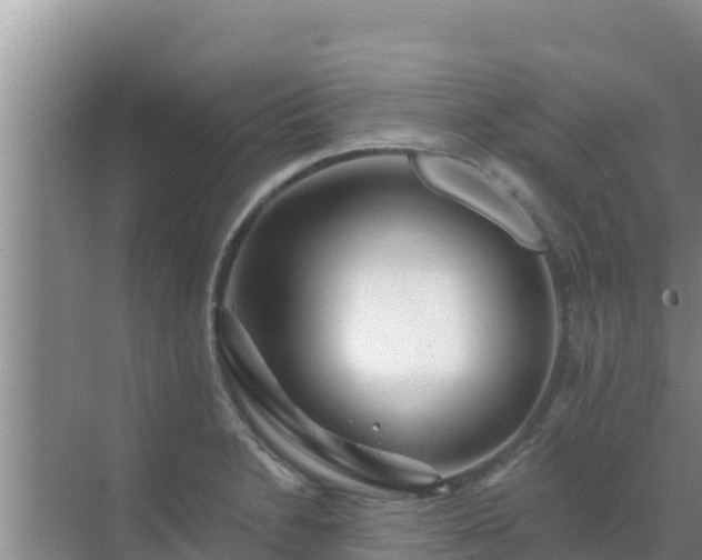 X0000072991230200607290005